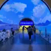 Avatar 3