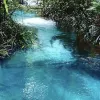 Avatar 3