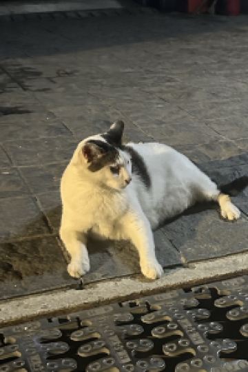 SJBND 西鉄ホテル クルーム 博多 クーポン