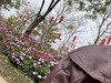 Joyfultraveler