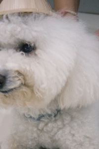 Suzyyap 泗務RH酒店優惠