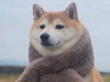 yeyju