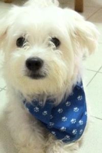 OYZ 微笑蘭納飯店優惠