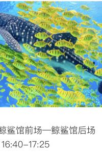 Sean Yang 2023 桃園花漾旅館優惠