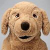 BearBear18