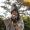 Linglan_photograph