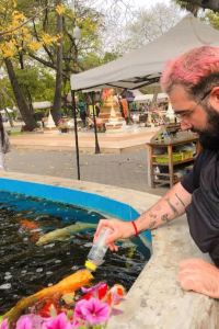 bebeche 塞林納墨爾本中央飯店優惠