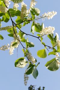 asImonakan プレミアホテル -CABIN- 松本 クーポン