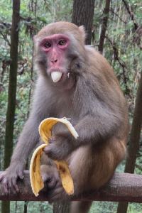 karl88 Yeongdong the J 쿠폰