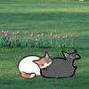 galacticcat