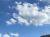 Farah_B