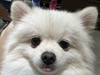 DavidLi