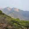 Avatar 1