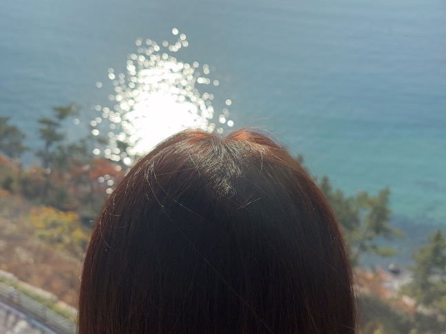 마른 오징어의 모험