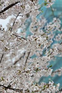 꾸꾸다스 Single Inn 單人房（高雄林森館）優惠