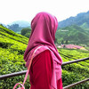 Feeqa Bee