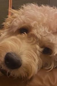 Jao Naay 臺中林飯店優惠