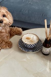 Flyplanet 艾斯瑞酒店 （SHA Certified）優惠