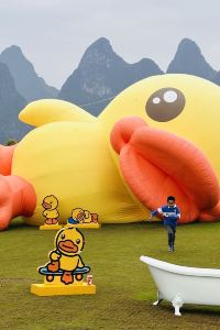 金怕魚絲珍 雲頂行政公寓（深圳北站店）優惠