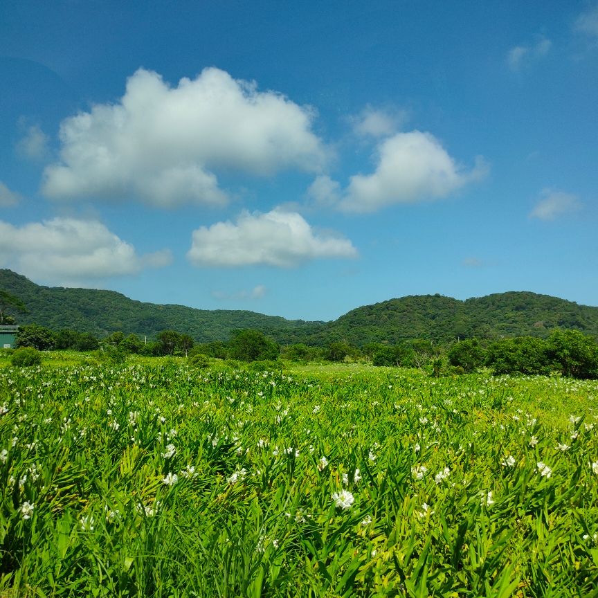 Sancandy