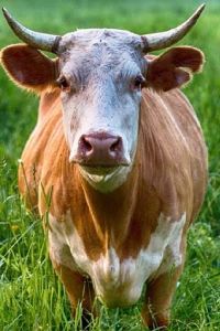 zakuII 優範飯店（深圳前海寶安中心店）優惠