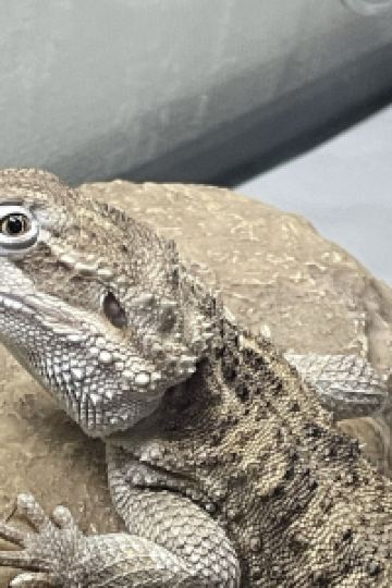 膝使い 博多グリーンホテル天神 クーポン