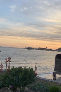 Japanese user ホテルルートイン石巻河南インター クーポン