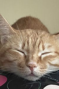 Lamialo 新驛旅店（臺中車站店）優惠