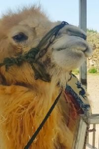 陽子yoko ホテルニュースター池袋 クーポン