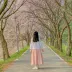 별 혜는 밤