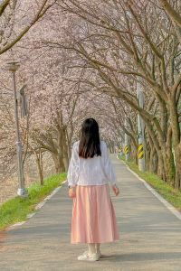 별 혜는 밤 발렌타인 비즈니스 호텔 쿠폰