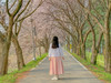 별 혜는 밤