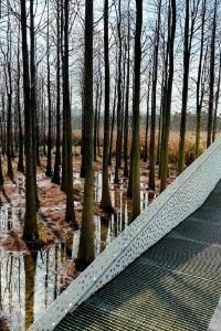 VLWJTW 珠海龍珠達國際酒店（拱北口岸店）優惠