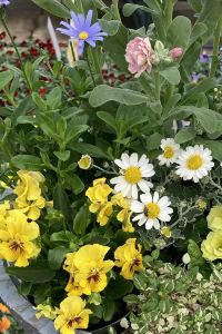 コピー 苫小牧舒適飯店優惠