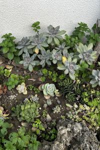 秦 慶霖飯店優惠