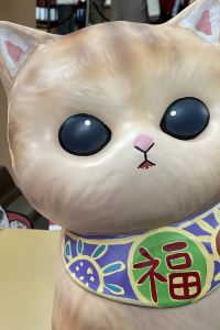 訪客 YHA昂坪戴維斯青年旅舍(大嶼山)優惠
