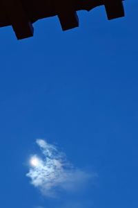 Westwood 札幌薄野舒適飯店優惠