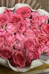 Mika2025 花園小屋優惠