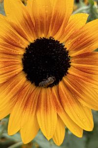 訪客 澳門富華酒店優惠