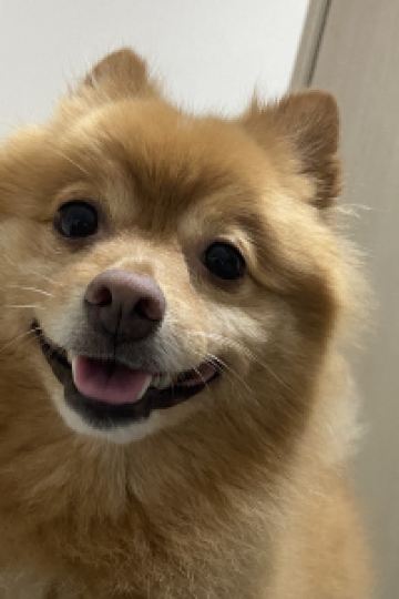 ゲスト ホテルWBFなんば元町 クーポン