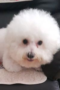 mokming 深圳福朋喜來登酒店優惠