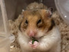 marutarou