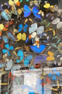 叮噹馬頭 珠海拱北口岸希爾頓歡朋飯店優惠