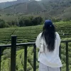 Avatar 3