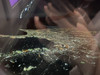 愛旅遊的女生