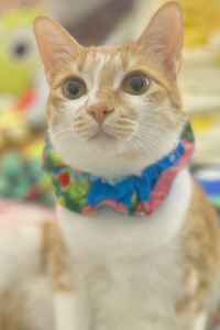 RBYO MYSTAYS名古屋錦飯店優惠