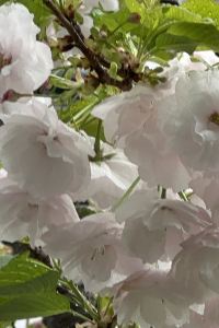 訪客用戶 東橫INN東京赤羽站東口優惠