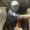 David800627