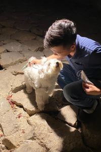 HenryC. 雄琴溫泉 湯山荘優惠