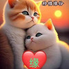 焱焱
